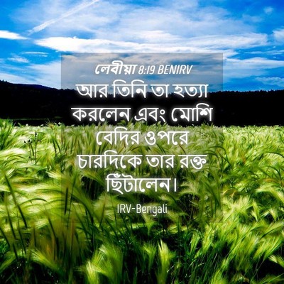 Picture 04 - লেবীয়া 8:19 BENIRV - আর তিনি তা হত্যা - Bible Verse Picture