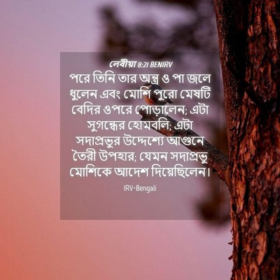 Picture 04 - লেবীয়া 8:21 BENIRV - পরে তিনি তার - Bible Verse Picture