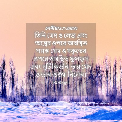 Picture 04 - লেবীয়া 8:25 BENIRV - তিনি মেদ ও লেজ এবং - Bible Verse Picture