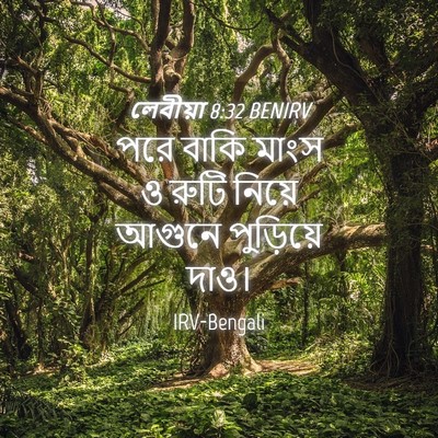 Picture 04 - লেবীয়া 8:32 BENIRV - পরে বাকি মাংস ও - Bible Verse Picture
