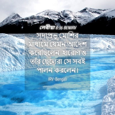 Picture 04 - লেবীয়া 8:36 BENIRV - সদাপ্রভু মোশির - Bible Verse Picture