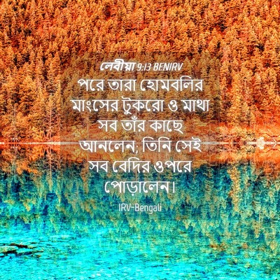 Picture 04 - লেবীয়া 9:13 BENIRV - পরে তারা হোমবলির - Bible Verse Picture