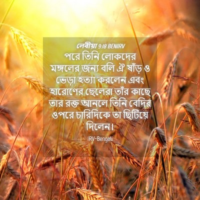 Picture 04 - লেবীয়া 9:18 BENIRV - পরে তিনি লোকদের - Bible Verse Picture