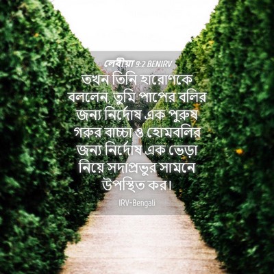 Picture 04 - লেবীয়া 9:2 BENIRV - তখন তিনি হারোণকে - Bible Verse Picture
