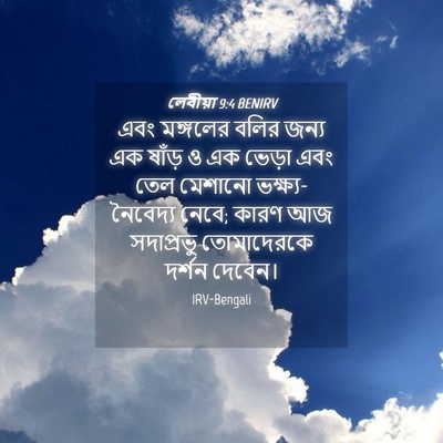 Picture 04 - লেবীয়া 9:4 BENIRV - এবং মঙ্গলের বলির - Bible Verse Picture
