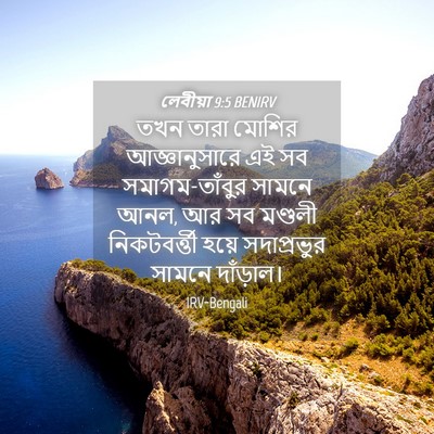 Picture 04 - লেবীয়া 9:5 BENIRV - তখন তারা মোশির - Bible Verse Picture