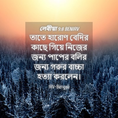 Picture 04 - লেবীয়া 9:8 BENIRV - তাতে হারোণ বেদির - Bible Verse Picture