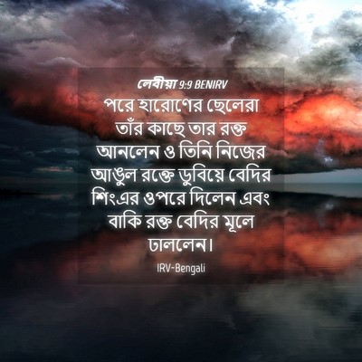 Picture 04 - লেবীয়া 9:9 BENIRV - পরে হারোণের - Bible Verse Picture