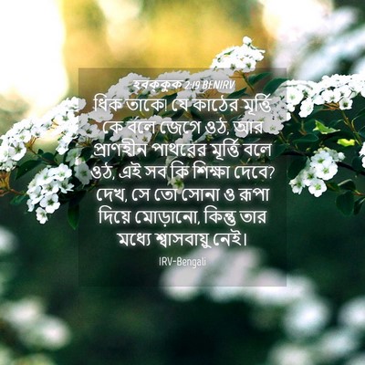 Picture 04 - হবক্কুক 2:19 BENIRV - ধিক তাকে! যে কাঠের - Bible Verse Picture