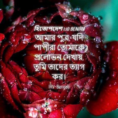 Picture 04 - হিতোপদেশ 1:10 BENIRV - আমার পুত্র, যদি - Bible Verse Picture