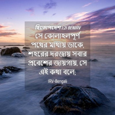 Picture 04 - হিতোপদেশ 1:21 BENIRV - সে কোলাহলপূর্ণ - Bible Verse Picture