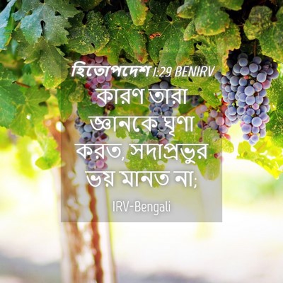 Picture 04 - হিতোপদেশ 1:29 BENIRV - কারণ তারা জ্ঞানকে - Bible Verse Picture