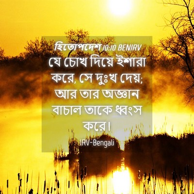 Picture 04 - হিতোপদেশ 10:10 BENIRV - যে চোখ দিয়ে ইশারা - Bible Verse Picture