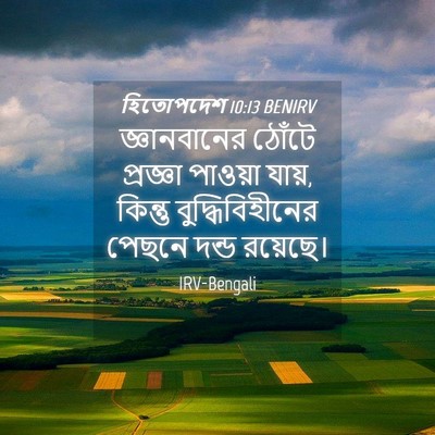 Picture 04 - হিতোপদেশ 10:13 BENIRV - জ্ঞানবানের ঠোঁটে - Bible Verse Picture