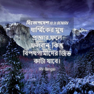 Picture 04 - হিতোপদেশ 10:31 BENIRV - ধার্ম্মিকের মুখ - Bible Verse Picture
