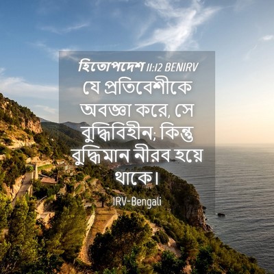 Picture 04 - হিতোপদেশ 11:12 BENIRV - যে প্রতিবেশীকে - Bible Verse Picture