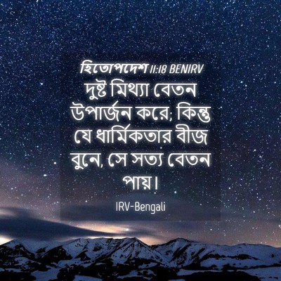 Picture 04 - হিতোপদেশ 11:18 BENIRV - দুষ্ট মিথ্যা বেতন - Bible Verse Picture