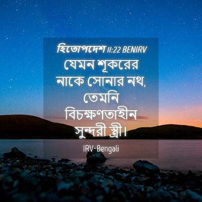 Picture 04 - হিতোপদেশ 11:22 BENIRV - যেমন শূকরের নাকে - Bible Verse Picture