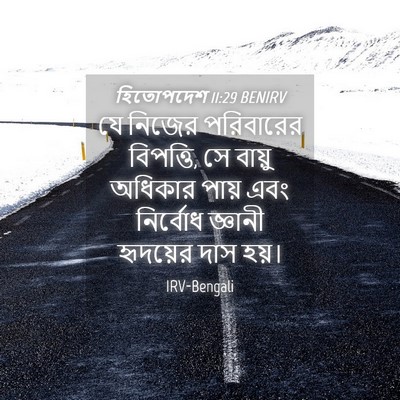 Picture 04 - হিতোপদেশ 11:29 BENIRV - যে নিজের পরিবারের - Bible Verse Picture