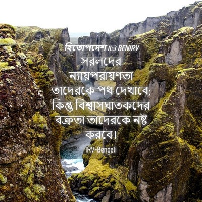 Picture 04 - হিতোপদেশ 11:3 BENIRV - সরলদের - Bible Verse Picture