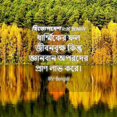 Picture 04 - হিতোপদেশ 11:30 BENIRV - ধার্ম্মিকের ফল - Bible Verse Picture