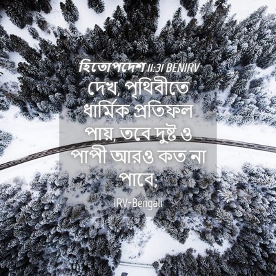 Picture 04 - হিতোপদেশ 11:31 BENIRV - দেখ, পৃথিবীতে - Bible Verse Picture