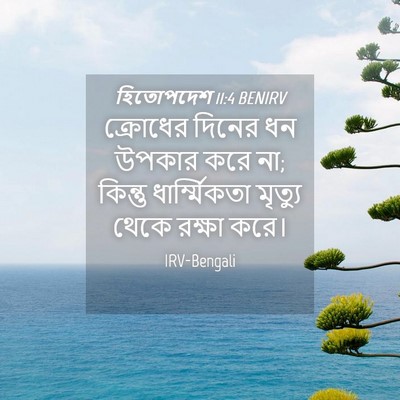 Picture 04 - হিতোপদেশ 11:4 BENIRV - ক্রোধের দিনের ধন - Bible Verse Picture