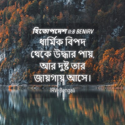 Picture 04 - হিতোপদেশ 11:8 BENIRV - ধার্মিক বিপদ থেকে - Bible Verse Picture