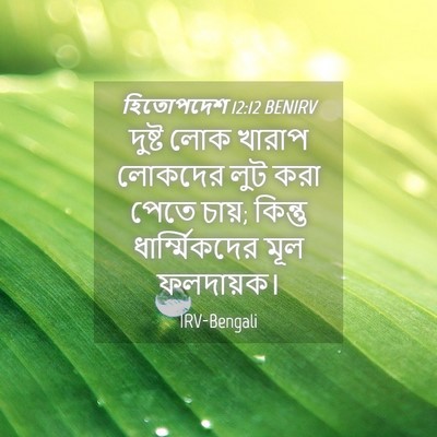 Picture 04 - হিতোপদেশ 12:12 BENIRV - দুষ্ট লোক খারাপ - Bible Verse Picture