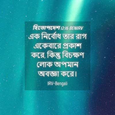 Picture 04 - হিতোপদেশ 12:16 BENIRV - এক নির্বোধ তার রাগ - Bible Verse Picture