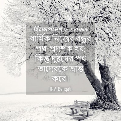 Picture 04 - হিতোপদেশ 12:26 BENIRV - ধার্মিক নিজের - Bible Verse Picture