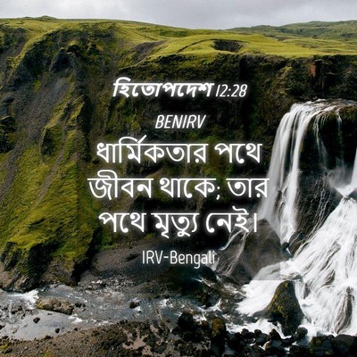 Picture 04 - হিতোপদেশ 12:28 BENIRV - ধার্মিকতার পথে - Bible Verse Picture