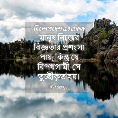 Picture 04 - হিতোপদেশ 12:8 BENIRV - মানুষ নিজের - Bible Verse Picture