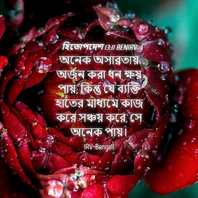 Picture 04 - হিতোপদেশ 13:11 BENIRV - অনেক অসারতায় - Bible Verse Picture