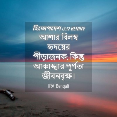 Picture 04 - হিতোপদেশ 13:12 BENIRV - আশার বিলম্ব - Bible Verse Picture