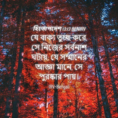 Picture 04 - হিতোপদেশ 13:13 BENIRV - যে বাক্য তুচ্ছ করে, - Bible Verse Picture