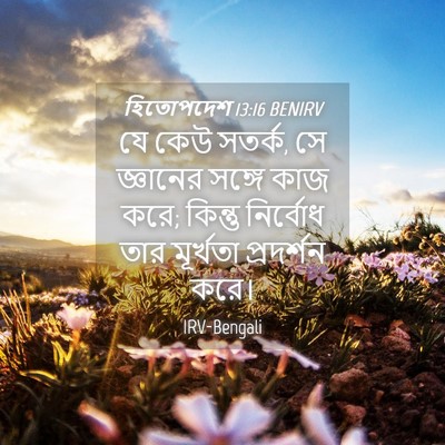 Picture 04 - হিতোপদেশ 13:16 BENIRV - যে কেউ সতর্ক, সে - Bible Verse Picture