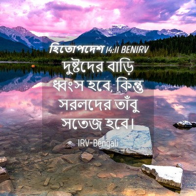 Picture 04 - হিতোপদেশ 14:11 BENIRV - দুষ্টদের বাড়ি - Bible Verse Picture