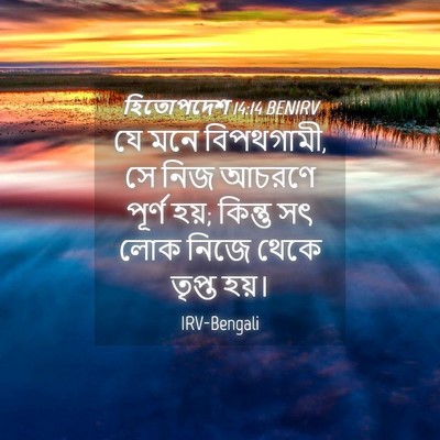 Picture 04 - হিতোপদেশ 14:14 BENIRV - যে মনে বিপথগামী, সে - Bible Verse Picture