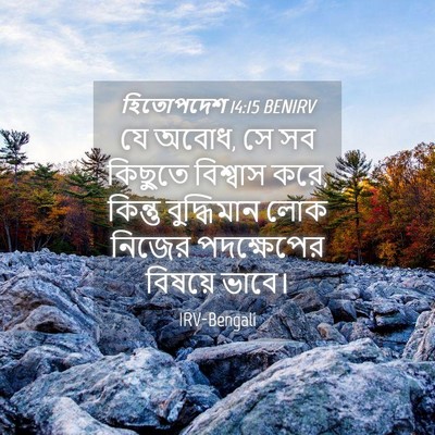Picture 04 - হিতোপদেশ 14:15 BENIRV - যে অবোধ, সে সব - Bible Verse Picture