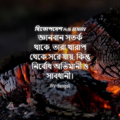 Picture 04 - হিতোপদেশ 14:16 BENIRV - জ্ঞানবান সতর্ক - Bible Verse Picture