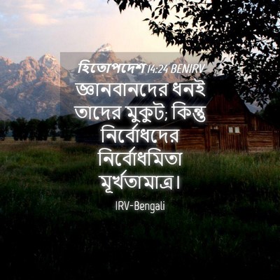 Picture 04 - হিতোপদেশ 14:24 BENIRV - জ্ঞানবানদের ধনই - Bible Verse Picture