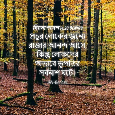 Picture 04 - হিতোপদেশ 14:28 BENIRV - প্রচুর লোকের - Bible Verse Picture