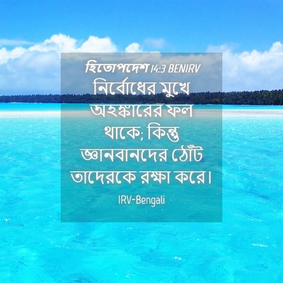 Picture 04 - হিতোপদেশ 14:3 BENIRV - নির্বোধের মুখে - Bible Verse Picture