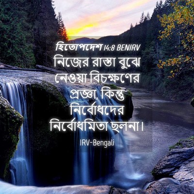 Picture 04 - হিতোপদেশ 14:8 BENIRV - নিজের রাস্তা বুঝে - Bible Verse Picture