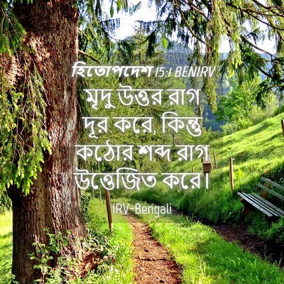 Picture 04 - হিতোপদেশ 15:1 BENIRV - মৃদু উত্তর রাগ দূর - Bible Verse Picture