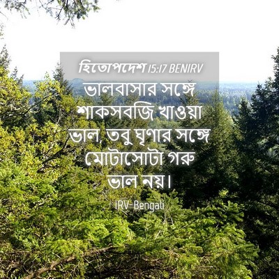 Picture 04 - হিতোপদেশ 15:17 BENIRV - ভালবাসার সঙ্গে - Bible Verse Picture