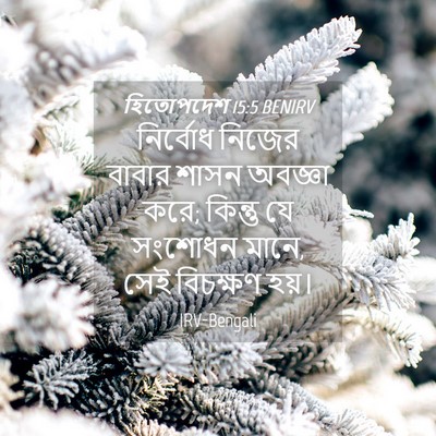 Picture 04 - হিতোপদেশ 15:5 BENIRV - নির্বোধ নিজের - Bible Verse Picture