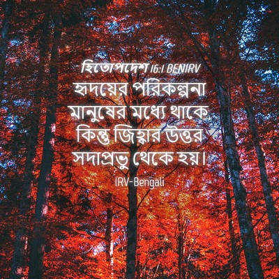 Picture 04 - হিতোপদেশ 16:1 BENIRV - হৃদয়ের পরিকল্পনা - Bible Verse Picture