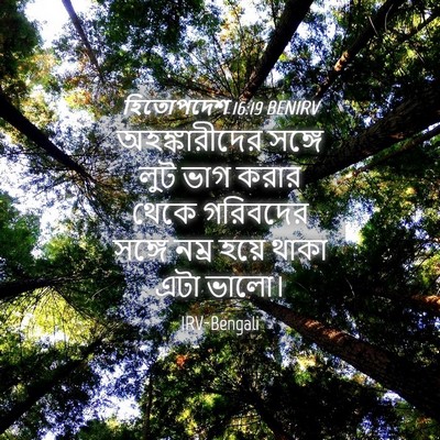 Picture 04 - হিতোপদেশ 16:19 BENIRV - অহঙ্কারীদের সঙ্গে - Bible Verse Picture